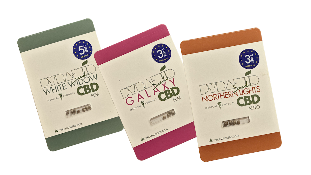 CBD Strains Pyramid Seeds